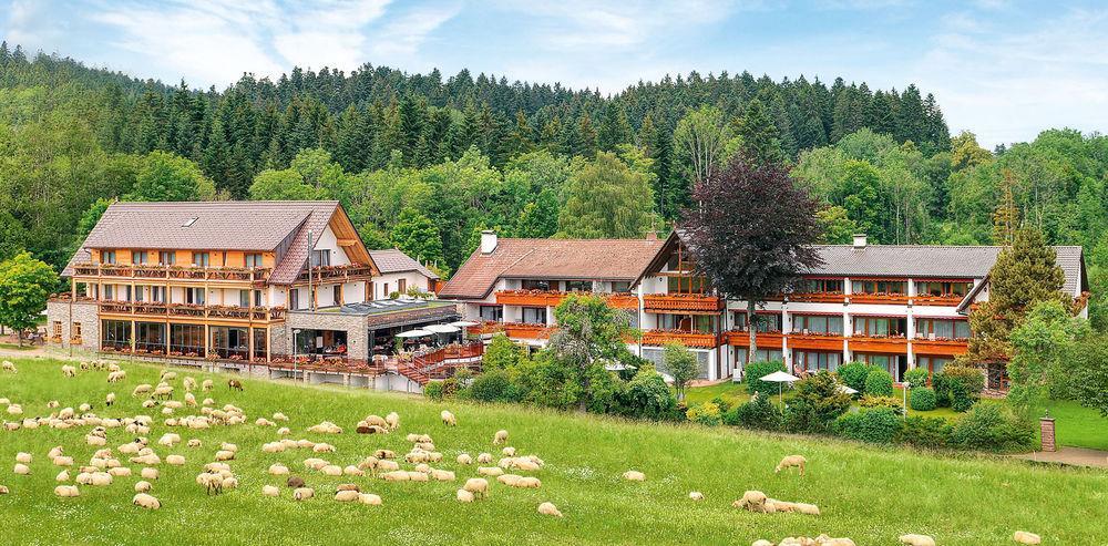 Hotel Gruener Wald Freudenstadt Exterior photo